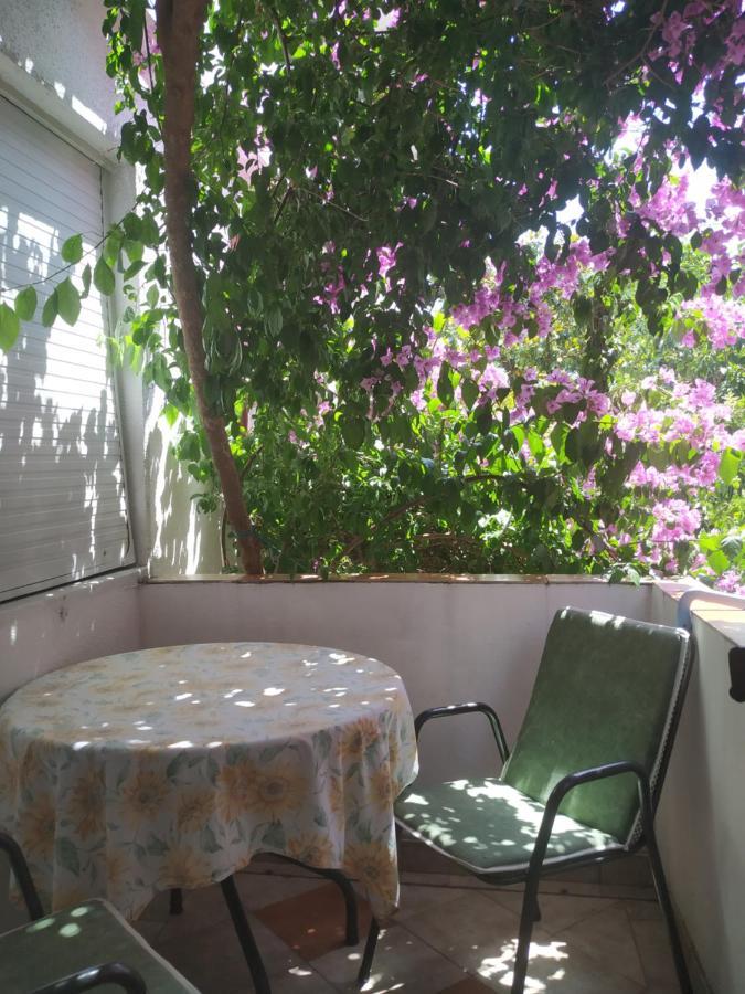 Apartment Abeona